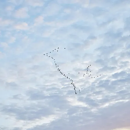 شقة Fritz-lau-strasse 8 Wolken Nest Penthouse-suite بوسم